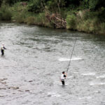 NPO・活動団体紹介【中流域】