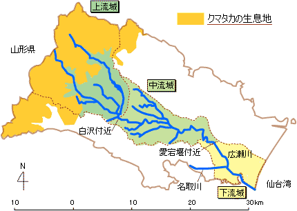 広瀬川の自然 ページ2