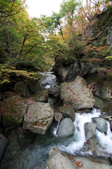 この画像には alt 属性が指定されておらず、ファイル名は s-1.jpg です