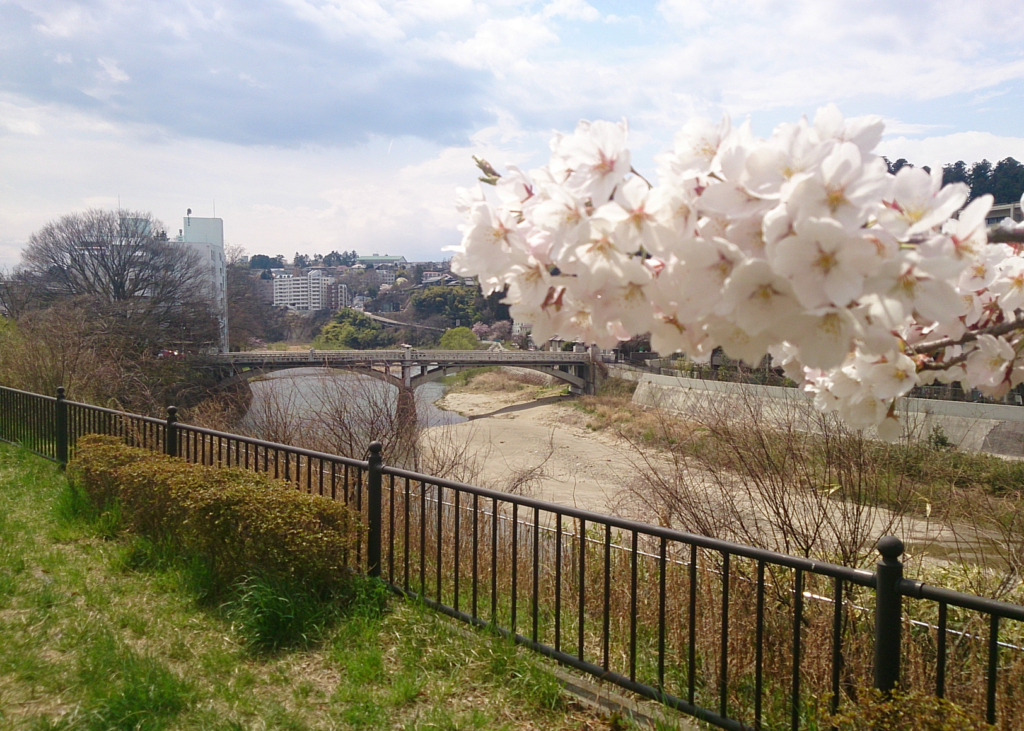【実施報告】まち歩き「広瀬川界隈ぶらり散歩（4月）」が開催されました！