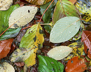 この画像には alt 属性が指定されておらず、ファイル名は s-2.jpg です