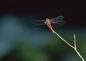 この画像には alt 属性が指定されておらず、ファイル名は s-4.jpg です