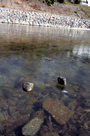 この画像には alt 属性が指定されておらず、ファイル名は s-4.jpg です