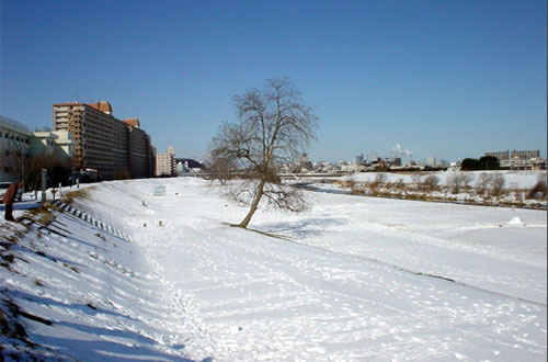 この画像には alt 属性が指定されておらず、ファイル名は s-6.jpg です