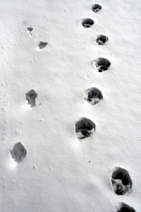 この画像には alt 属性が指定されておらず、ファイル名は s-3.jpg です