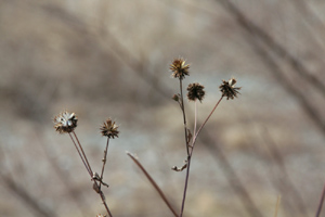 この画像には alt 属性が指定されておらず、ファイル名は s-5.jpg です