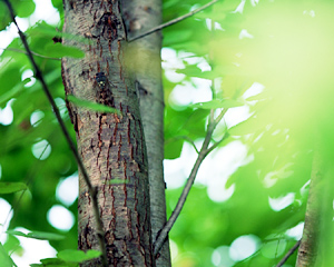 この画像には alt 属性が指定されておらず、ファイル名は s-3.jpg です