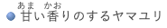 この画像には alt 属性が指定されておらず、ファイル名は haru-5.png です