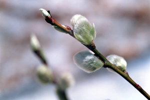 この画像には alt 属性が指定されておらず、ファイル名は s-1.jpg です