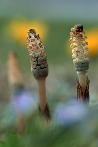 この画像には alt 属性が指定されておらず、ファイル名は s-2.jpg です