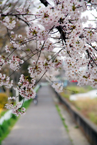 この画像には alt 属性が指定されておらず、ファイル名は s-5.jpg です